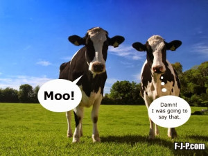 have 2 cows you give one to your neighbour communism you have 2 cows ...