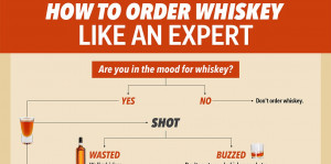 INFOGRAPHIC: How To Drink Whiskey Like An Expert - Business Insider