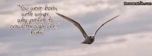cover-450-you-were-born-wings-rumi-fb-cover-1388015484.jpg