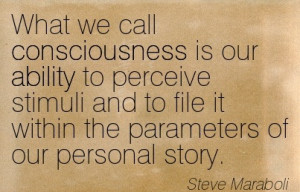 ... File It Within The Parameters Of Our Personal Story. - Steve Maraboli