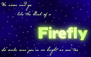 Inspirational quote about fireflies