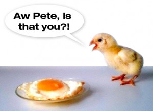 pete is that you chick egg sad hill news