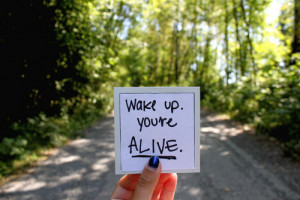 Wake Up You’re Alive ” ~ Nature Quote