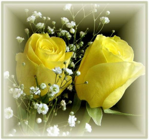 ... the color yellow represents joy, wisdom and power, joy and friendship