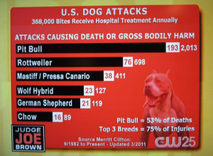 Judge Joe Browns Chart of #pitbull and dangerous dog attacks.