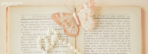 Vintage Butterfly 300x250 Cute Vintage Facebook Timeline Cover
