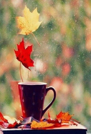 Fall, coffee and rain.. the perfect combination:)