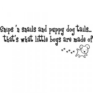 Snips 'n snails and puppy dog tails...that's what little boys are made ...