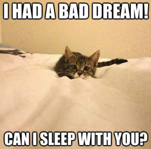 Bad dream!