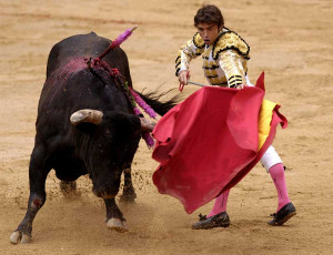 bull fighting on the left