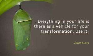 At Chrysalis Coaching Inc, I will work with you to bring out your ...