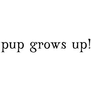 les miserables quote gavroche clipped by broadway_bound92