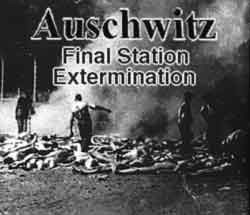 facts about auschwitz for kids