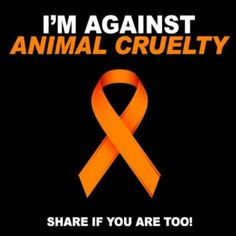 ... quote awareness I am far from PETA but I hate people that abuse