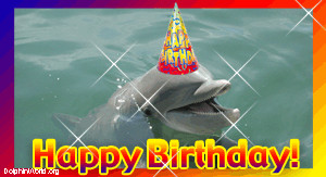 Happy Birthday Dolphin...
