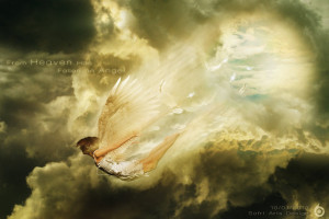 From Heaven Has fallen an Angel by softart03