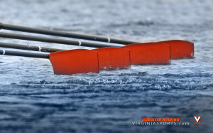 Virginia Baseball Background