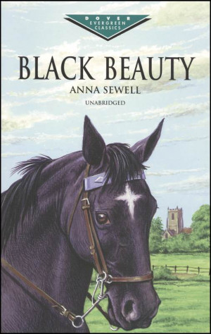 meet blackblack beauty is anna daughter of the horses point