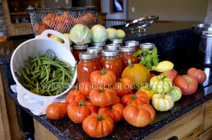 David Fischer Posted September