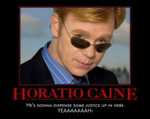 Horatio Caine Funny Quotes