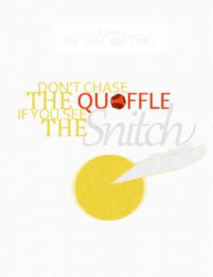 Don t chase the quaffle if you see the snitch is a quote