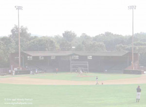 public record or collection filed. means