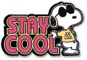 where can I find cool snoopy stuff? (description)