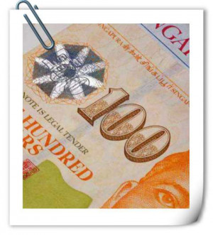 love is the tender trap