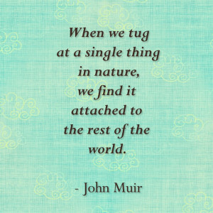 ... nature, we find it attached to the rest of the world.