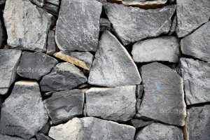 Funny Quotes Contact Us DMCA Notice