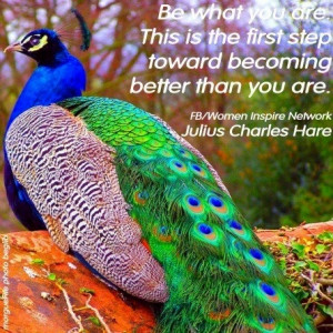 Quotes On Peacock