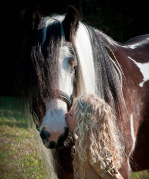 horse love for great quotes search love loading horse love