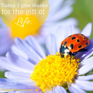 Positive Affirmations: I have an attitude of gratitude…
