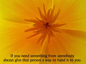 Secret Life of Bees- Sue Monk Kidd