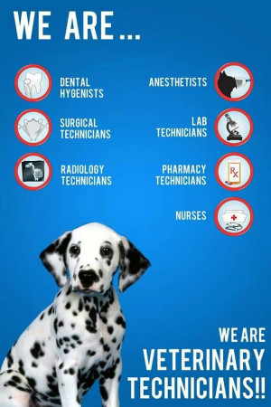 We are Veterinary Technicians.