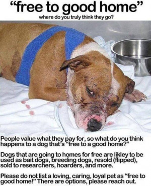 Dog Fighting & STOP Animal Abuse's photo: Free, Animal Cruelty, Animal ...