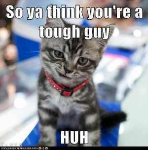 tough_guy funny pictures