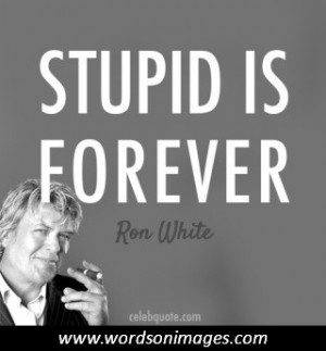 Collection of animal photos (578)