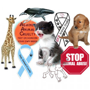Help Stop Animal Abuse Quote Kootation