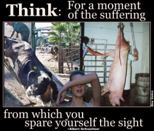 Suffering and Diseased Meat: It's What's for Dinner