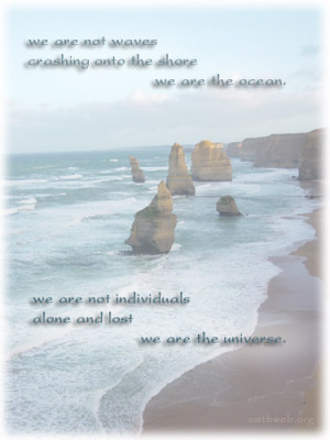 We are not waves crashing onto the shore we are the ocean. We are not ...