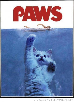 jaws movie poster parody cat lolcat animal paws funny pics pictures ...