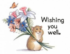 wishing you well comments