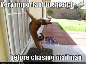 Stretch Armstrong- Part Deux