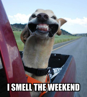 Its coming: I smell the weekend