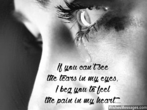 ... in my eyes, I plead you to feel the pain in my heart. I am sorry