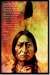 NATIVE AMERICAN WISDOM ART PHOTO PRINT POSTER GIFT WEB OF LIFE QUOTE