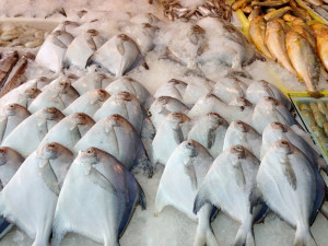 Tongchuan Lu Seafood Market 铜川路 China picture
