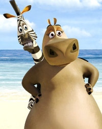 Marty the Zebra (Chris Rock) needs the protection of Gloria the Hippo ...