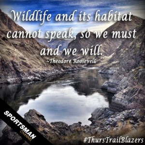 nature #wildlife #habitat #mountains #thurstrailblazers